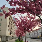 Totutotam_02 华沙